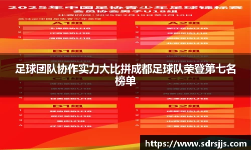 足球团队协作实力大比拼成都足球队荣登第七名榜单